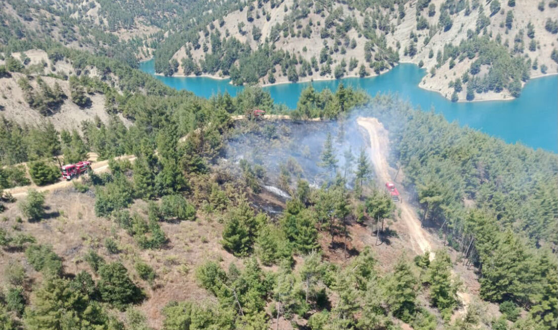 Kahramanmaraş'ın Onikişubat ilçesinde çıkan orman yangını, ekiplerin havadan ve karadan