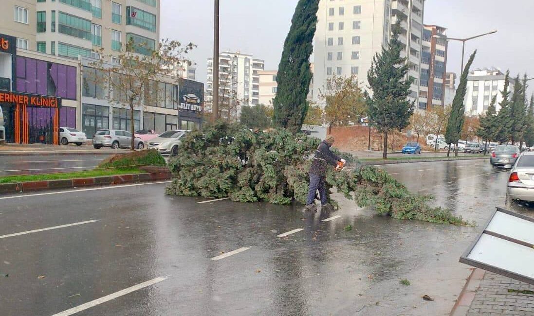 Meteoroloji Genel Müdürlüğü, Akdeniz’in iç kesimleri için kuvvetli rüzgar ve
