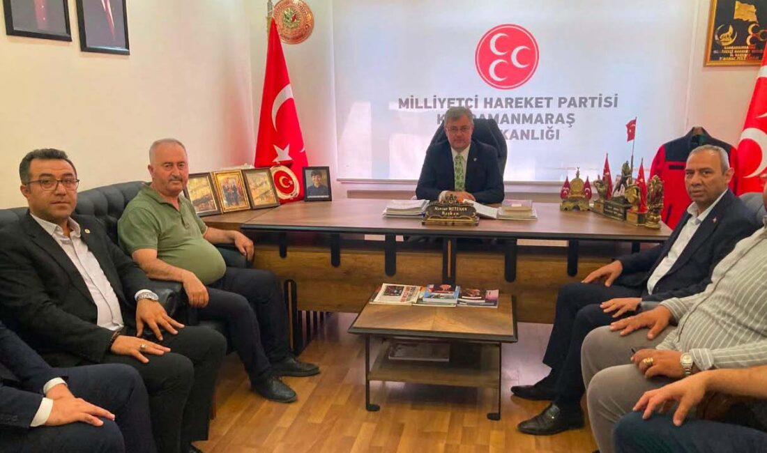 Türk Enerji-Sen Genel Başkan Yardımcısı Cihangir Hulusi Gök, Türkiye Kamu-Sen