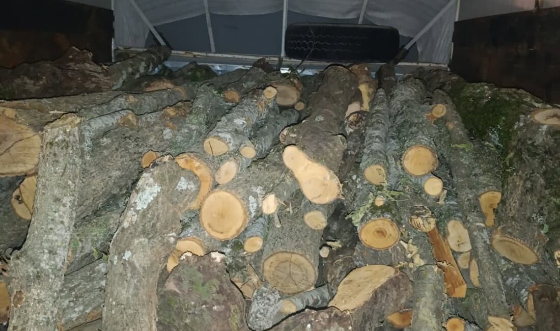 Kahramanmaraş’ın Andırın ilçesinde orman muhafaza ekiplerinin dikkatli denetimi meyvesini verdi.