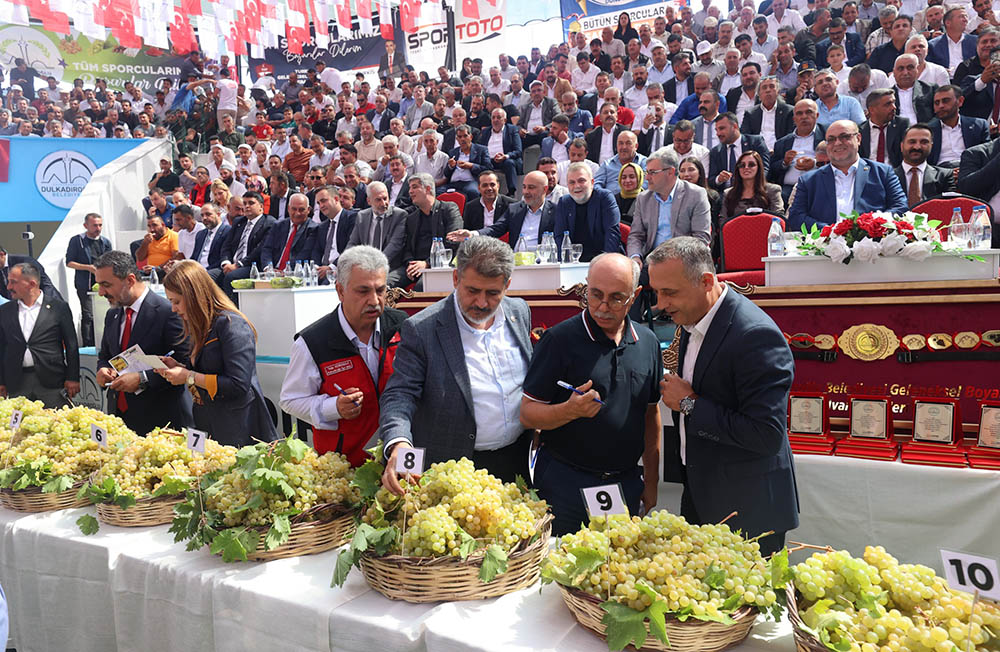 30. Geleneksel Bertiz Boyalı Şalvar Güreşlerine yoğun ilgi! 3 096deaf0 0e5c 42a8 a5c3 efec34674918