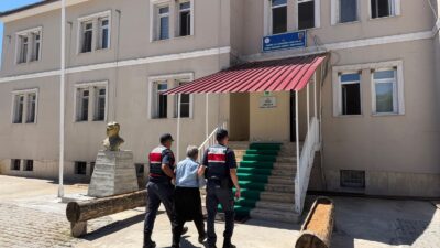 Kahramanmaraş’ın Andırın ilçesine bağlı Kargaçayırı Mahallesi’nde, bir sokak köpeğinin traktöre
