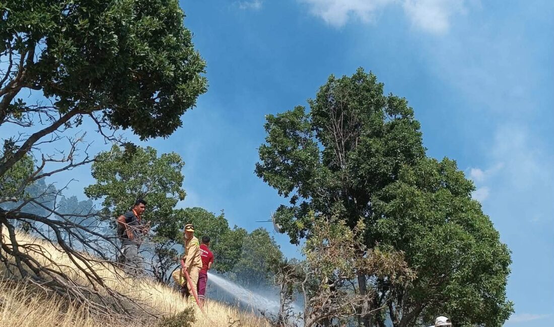 Kahramanmaraş’ın Türkoğlu ilçesine bağlı Şekeroba Mahallesi Kızılyar mevkiinde bulunan ormanlık