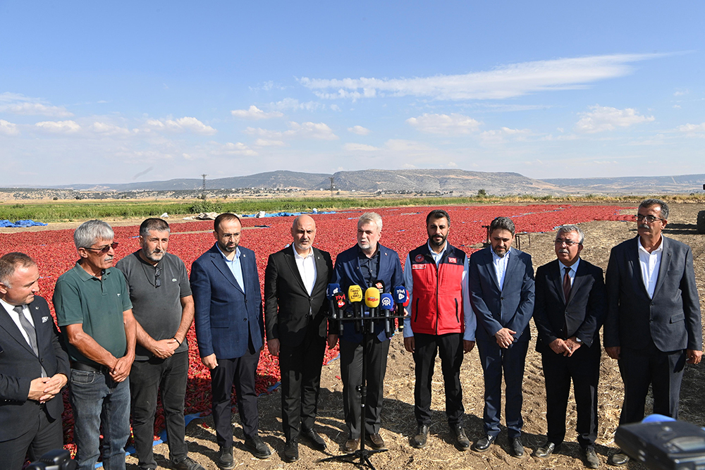 Maraş Biberi Hasadi 5
