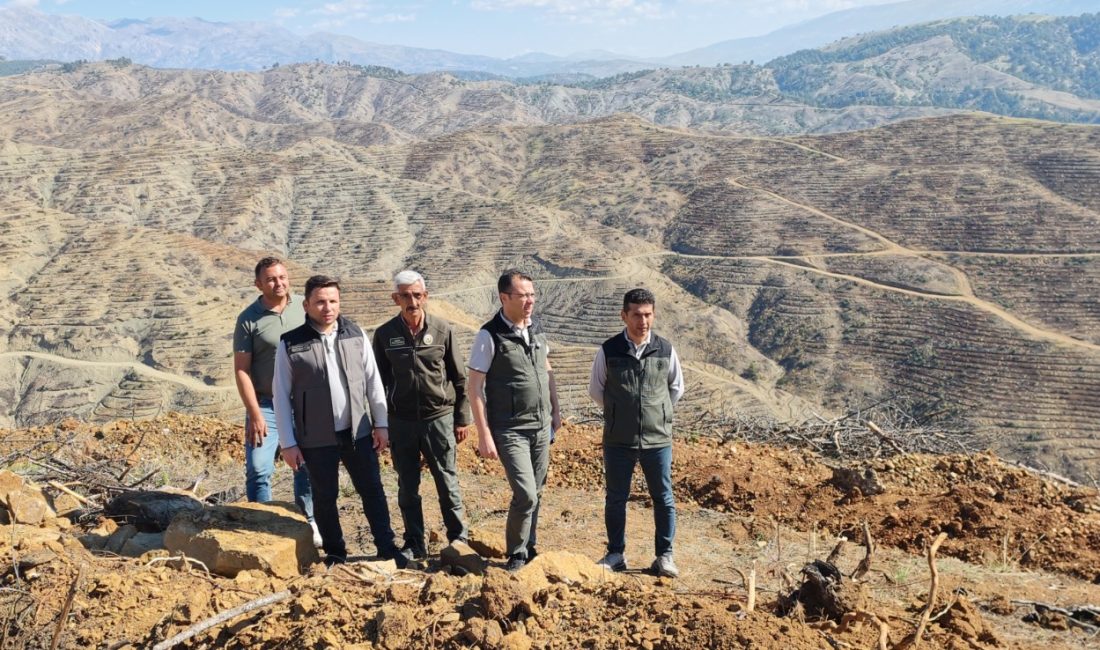 Kahramanmaraş’ın Onikişubat ilçesinde 2025 yılında enerji nakil hattından kaynaklandığı belirtilen