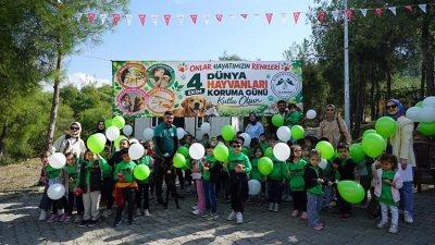 Büyükşehir Belediyesi ve Sahipsiz Hayvanları Koruma Birliği iş birliğinde Dünya
