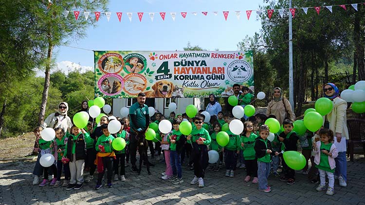 Büyükşehir Belediyesi ve Sahipsiz Hayvanları Koruma Birliği iş birliğinde Dünya
