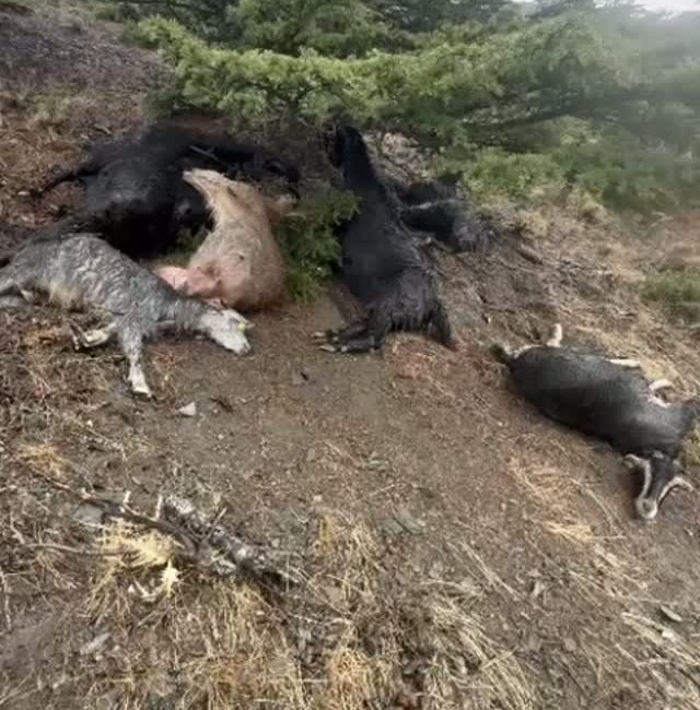 Kahramanmaraş’ta etkili olan sağanak yağış sırasında meydana gelen yıldırım düşmesi,