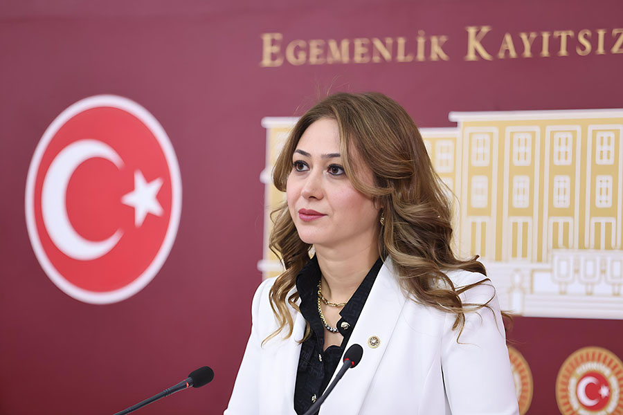 MHP Kahramanmaraş Milletvekili Zuhal Karakoç, TBMM’nin 28. Dönem 5. Yasama